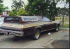 el camino 1